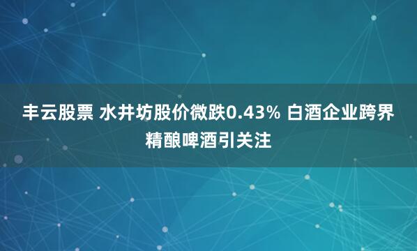 丰云股票 水井坊股价微跌0.43% 白酒企业跨界精酿啤酒引关注
